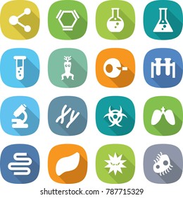 flat vector icon set - molecule vector, hex, round flask, vial, dna modify, artificial insemination, test, microscope, chromosomes, biohazard, lungs, intestines, liver, virus, microb