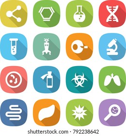 flat vector icon set - molecule vector, hex, round flask, dna, vial, modify, artificial insemination, microscope, microbe, potion bottle, biohazard, lungs, intestines, liver, virus, viruses
