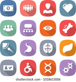 flat vector icon set - money vector, team, woman, heart, group, structure, eye, broken bone, sperm, stomach, brain, liver, check in, invalid, dna, edit