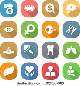 flat vector icon set - money gift vector, team, dollar arrow, brain, eye, female sign, artificial insemination, chromosomes, hospital, sperm, tooth, lungs, liver, health care, client