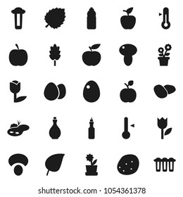 Flat vector icon set - oil vector, thermometer, cereal, egg, mushroom, potato, apple fruit, leaf, diet, water bottle, tulip, pond, flower in pot, filter