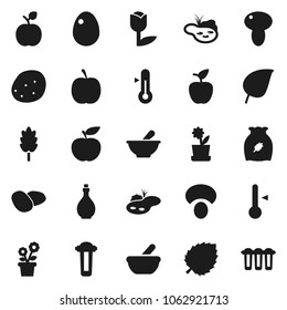 Flat vector icon set - oil vector, thermometer, cereal, egg, mushroom, potato, apple fruit, leaf, diet, tulip, mortar, pond, flower in pot, water filter