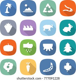 flat vector icon set - palm vector, landscape, recycle, walnut crack, berry, seedling, sheep, rabbit, pumpkin, sow, udder, spruce, garden, carrot, peas, maple leaf