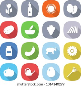 flat vector icon set - perishable vector, vegetable oil, gas oven, eggs, potato, mortar, berry, field, flour, eggplant, sheep, flower, tomato, watering can, egg, rake