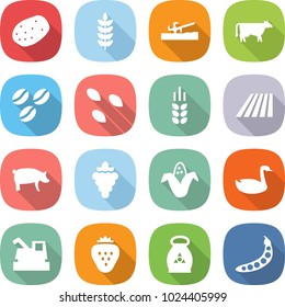 flat vector icon set - potato vector, spike, soil cutter, cow, coffee seeds, field, pig, grape, corn, goose, harvester, strawberry, fertilizer, peas