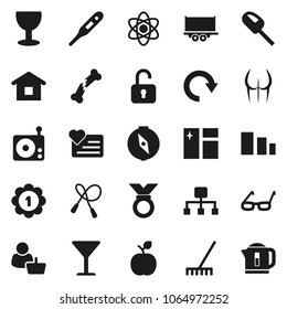Flat vector icon set - rake vector, window cleaning, glasses, apple fruit, atom, compass, jump rope, buttocks, medal, heart monitor, truck trailer, glass, sorting, radio, thermometer, broken bone