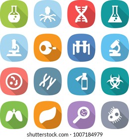 flat vector icon set - round flask vector, virus, dna, microscope, artificial insemination, test vial, microbe, chromosomes, potion bottle, biohazard, lungs, liver, viruses, microb