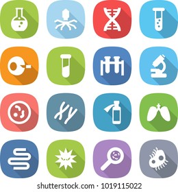 flat vector icon set - round flask vector, virus, dna, vial, artificial insemination, test, microscope, microbe, chromosomes, potion bottle, lungs, intestines, viruses, microb