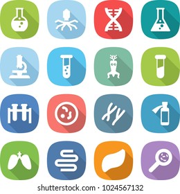 flat vector icon set - round flask vector, virus, dna, microscope, vial, modify, test, microbe, chromosomes, potion bottle, lungs, intestines, liver, viruses