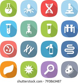 flat vector icon set - round flask vector, virus, dna, microscope, vial, modify, test, microbe, chromosomes, potion bottle, intestines, liver, viruses, microb