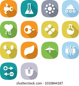 flat vector icon set - satellite vector, flask, round around, lunar rover, cardio chip, artificial insemination, pill, kidneys, liver, ambulance sign, magnetic field, charge particle