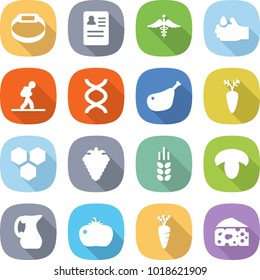 flat vector icon set - smart bracelet vector, anamnesis, ambulance sign, acid, tourist, dna, chicken leg, carrot, honeycombs, berry, spike, mushroom, jug, tomato, cheese