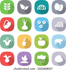 flat vector icon set - spikelets vector, leafs, greenhouse, eggs, beans, onion, coffee seeds, field, corn, seedling, apple, sheep, beet, sprouting, sow, pile of garbage
