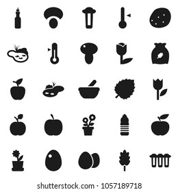 Flat vector icon set - thermometer vector, cereal, egg, mushroom, potato, oil, apple fruit, leaf, diet, water bottle, tulip, mortar, pond, flower in pot, filter