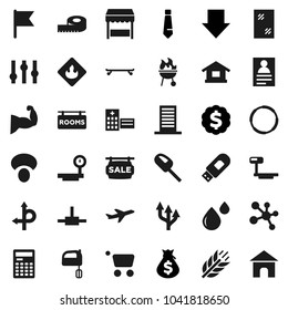 Flat vector icon set - window cleaning vector, mixer, bbq, mushroom, calculator, personal information, flag, money bag, arrow down, dollar medal, tie, measuring, muscule hand, skateboard, molecule