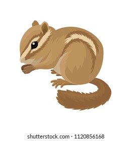 Flat vector icon of small brown chipmunk. Small mammal animal. Rodent with cheek pouches and light and dark stripes running down the body