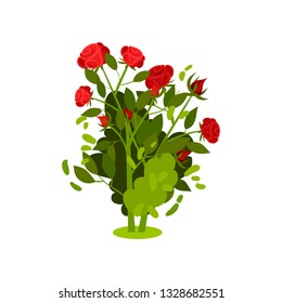 Flat Vector Icon Of Small Bush With Bright Red Roses And Green Leaves. Flowering Plant. Beautiful Garden Flowers