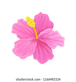 Flat vector icon of tropical hibiscus with pink petals. Beautiful blooming flower. Botany theme