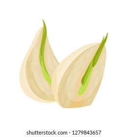 Flat vector icon of two sprouted cloves of garlic. Aromatic plant. Culinary ingredient. Natural product