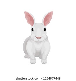 Flat vector icon of white rabbit, front view. Wild hare. Small domestic creature. Fauna theme