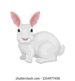 Flat vector icon of white rabbit, side view. Domestic or wild hare. Animal with long pink ears and short tail