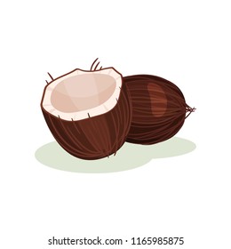 Flat vector icon of whole and half of broken coconut. Tropical fruit. Natural product. Superfood theme