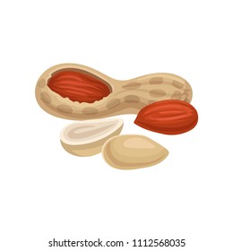 Flat vector icon of whole and peeled peanuts. Organic and tasty food. Vegetarian nutrition. Element for product packaging or promo poster