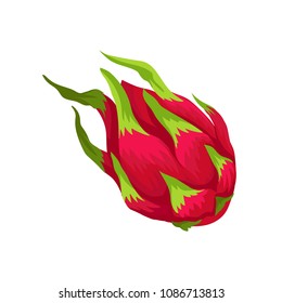 Flat vector icon of whole pitaya. Exotic and sweet dragon fruit. Fresh and ripe product. Element for juice or yogurt packaging