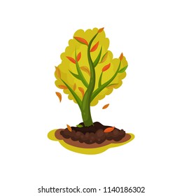 Flat vector icon of young apple tree with red-orange leaves. Autumn season. Gardening theme. Natural landscape element