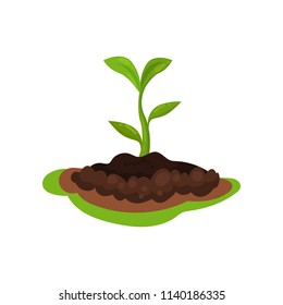Flat vector icon of young green plant with small leaves sprouting from the ground. Gardening and cultivation theme
