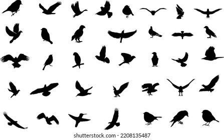 Flat vector icons of birds silhouette. Birds flying. parrot, crow, eagle, sparrow and all birds are flying and walking.  Birds vector icon. 