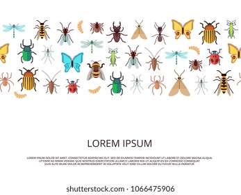 Flat vector icons insects background or banner template. Vector illustration