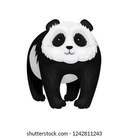 Flat vector illustration of adorable panda standing. Bamboo bear with fluffy black and white fur. Mammal animal