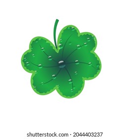 Flat vector illustration of alchemilla vulgaris plant on white background. Round green leaf with dew drops . Idea for a packing, t-shirt, poster, sticker, postcard, background, web design and so on.