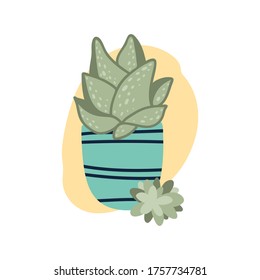 Flat vector illustration with aloe plant in blue flowerpot and beige spot on white background. Hand drawn style for holiday greetings, invitations, cards, posters, stickers, t-shirt design.