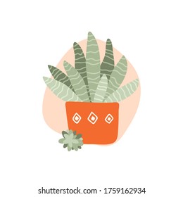 Flat vector illustration with aloe plant in orange flowerpot and pink spot on white background. Hand drawn style for holiday greetings, invitations, cards, posters, stickers, t-shirt design.