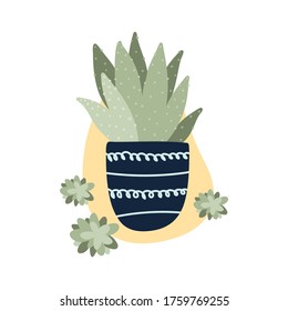 Ilustración vectorial plana con planta de aloe en maceta de flores azul oscuro y mancha beige sobre fondo blanco. Estilo dibujado a mano para saludos de vacaciones, invitaciones, tarjetas, afiches, pegatinas, diseño de camisetas.