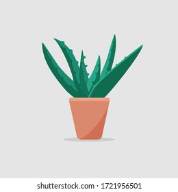 Flat vector illustration of aloe vera in a pot. Beautiful floral design element.