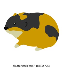Flat vector illustration with animals. Lemmings are the basis of the diet of Arctic foxes. Varieties of rodents. Illustrations on the theme of ecology, arctic fauna, zoology.