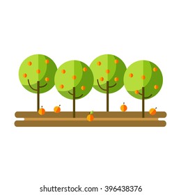 Flat vector illustration apple orchard and harvest fruit. Apple orchard summer and autumn. Apple harvest and apple orchards flat icon.