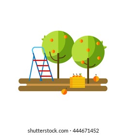 Flat vector illustration apple orchard and harvest fruit. Apple orchard flat icon.
