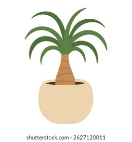 Flat vector illustration of asplenium houseplant with wavy leaves in a round pastel pot.