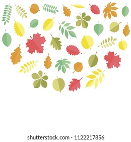 Flat vector illustration: autumn leaves (elm, beech, ash, linden, birch, alder, aspen, willow, maple,  poplar, rowan,, walnut, apple, oak, acacia, chestnut, conker) icons isolated on white background