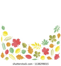 Flat vector illustration: autumn tree leaves (elm, beech, ash, linden, birch, alder, aspen, willow, maple,  poplar, rowan,, walnut, apple, oak, acacia, chestnut, conker) isolated on whtie background