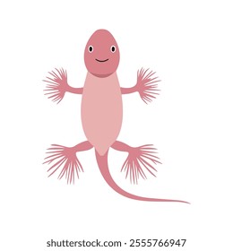 Flat vector illustration of an Axolotl with pink body, feathery gills, simple design, elongated shape, clean aesthetic, minimal style