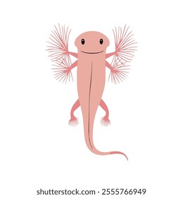 Flat vector illustration of an Axolotl with pink body, feathery gills, simple design, elongated shape, clean aesthetic, minimal style