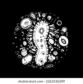 Flat vector illustration of bacteria, unicellular animal, infusoria slipper