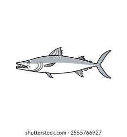 Flat vector illustration of a barracuda with sleek silver body, sharp teeth, streamlined shape, minimalistic design, modern aesthetic