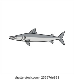 Flat vector illustration of a barracuda with sleek silver body, sharp teeth, streamlined shape, minimalistic design, modern aesthetic