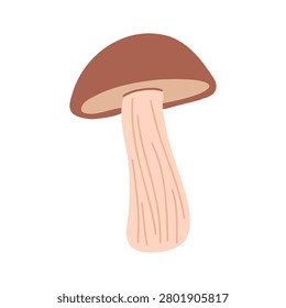 Flat vector illustration of a birch bolete mushroom isolated on a white background. Clip art of an edible fungus for seasonal autumn design, prints, posters, or stickers. 